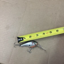 Bagley Fishing Lure