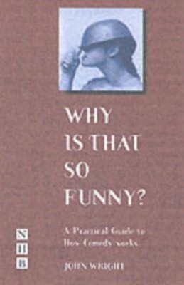 Why Is That So Funny?: A Practical Exploration of  by John Wright PAPERBACK