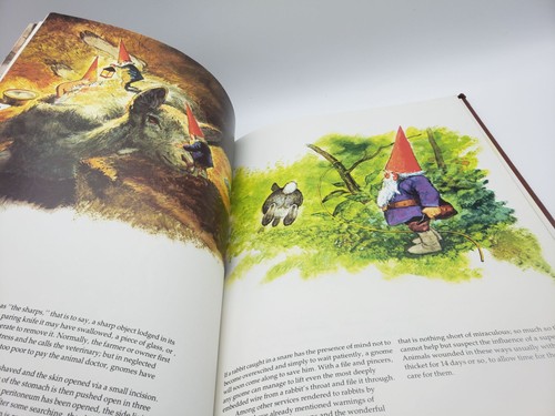 Gnomes Hardcover Poortvliet Huygen Art Fantasy Book 1976 Vintage - Picture 13 of 16