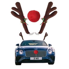 Car Reindeer Antlers  Nose - Window Roof-Top  Grille Rudolph Reindeer Brown