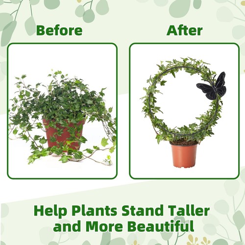 2PCS Black Metal Trellis Butterfly Design for Potted Plants & Garden Climbing - Picture 4 of 9