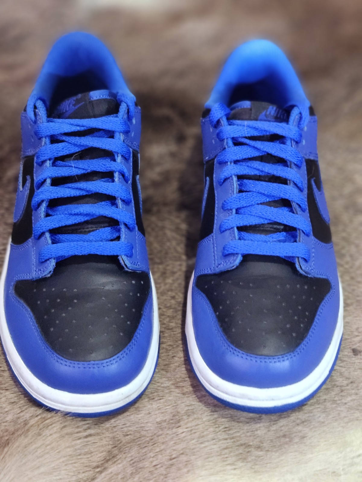Size 5.5 - Nike Dunk Low Hyper Cobalt