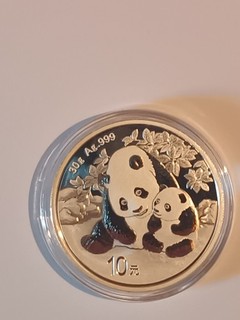 Pièce Argent Chine 2024 999 9% Panda 10 Yuan Neuf