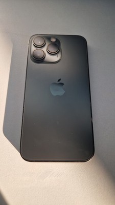 Apple iPhone 13 Pro Graphite - 256GB 100%