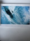 Picture 3 of 8