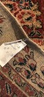 SARROOK IVORY RUG, AN ATTRACTIVE IVORY BACKGROUND COLOR SARROOK — photo 9