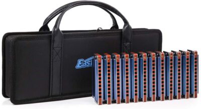 EASTTOP Professional Diatonic Harmonica Set Harmonica Set 12 key blues harp Gift