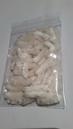 Mop Fly Bodies- Fly Tying- 14 Pop. Colors- Various Quantities- Combined Shipping - Picture 40 of 48