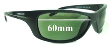SFx Replacement Sunglass Lenses fits Arnette Swing Plate AN4160 - 60mm Wide