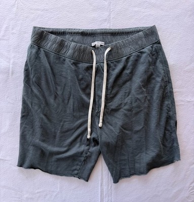 James Perse Mens French Terry Cotton Sweat Shorts Size 3 Light Blue Supima
