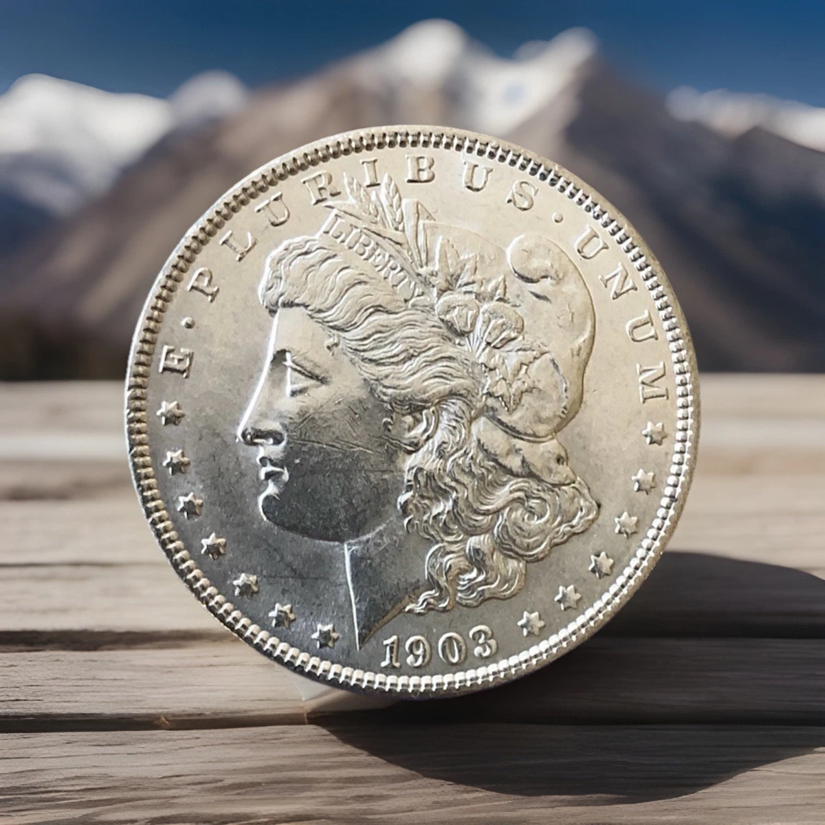 Liberty Silver Dollar In Morgan Dollars (1878-1921) for sale | eBay