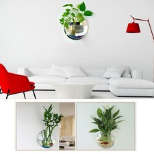 Home Wall Mount Fish Tanks Goldfish Bowl Acrylic Hanging Aquariums Flowerpot