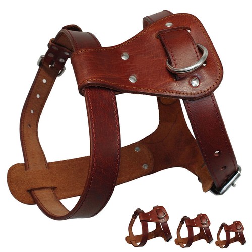 Leather Dog Harness and Leash Genuine Leather for Large Dogs Pitbull Bulldog S-L - Picture 14 of 15