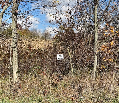 "NO TRESPASSING" 10" x 7" Warning Signs, 2 Sign Set, Heavyweight Aluminum - Picture 7 of 12