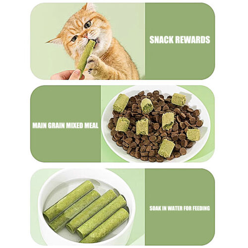 Cat Kitten Chew Sticks Cat Toys Natural Hairball Removal Chew Toy Teeth Cleaning - Picture 3 of 10