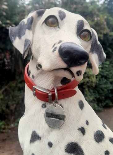 COUNTRY ARTISTS DALMATIAN DOG PRINCE - 2036 - WITH COLLAR & ENGRAVABLE NAME TAG - Picture 8 of 16