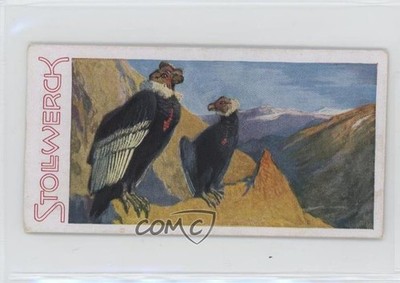 1932 Stollwerck Chocolates Aus dem Tierreich Food Issue Condor #4-5 0l4h