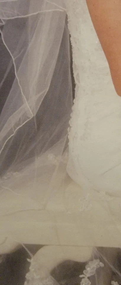 Wedding Dress & Veil, Preserved In Box, Ivory Size 16 Worn Once - Image 3 of 4