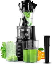 300W Electric Juicer Fruit Vegetable Blender Juice Extractor Citrus Machine