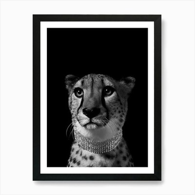 Gepard Schwarz-Weiß Kunstdruck Gerahmt Wandbild Poster Leinwanddruck Bild