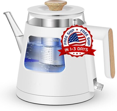 Tetera eléctrica con infusor extraíble de acero inoxidable, vidrio eléctrico NEW