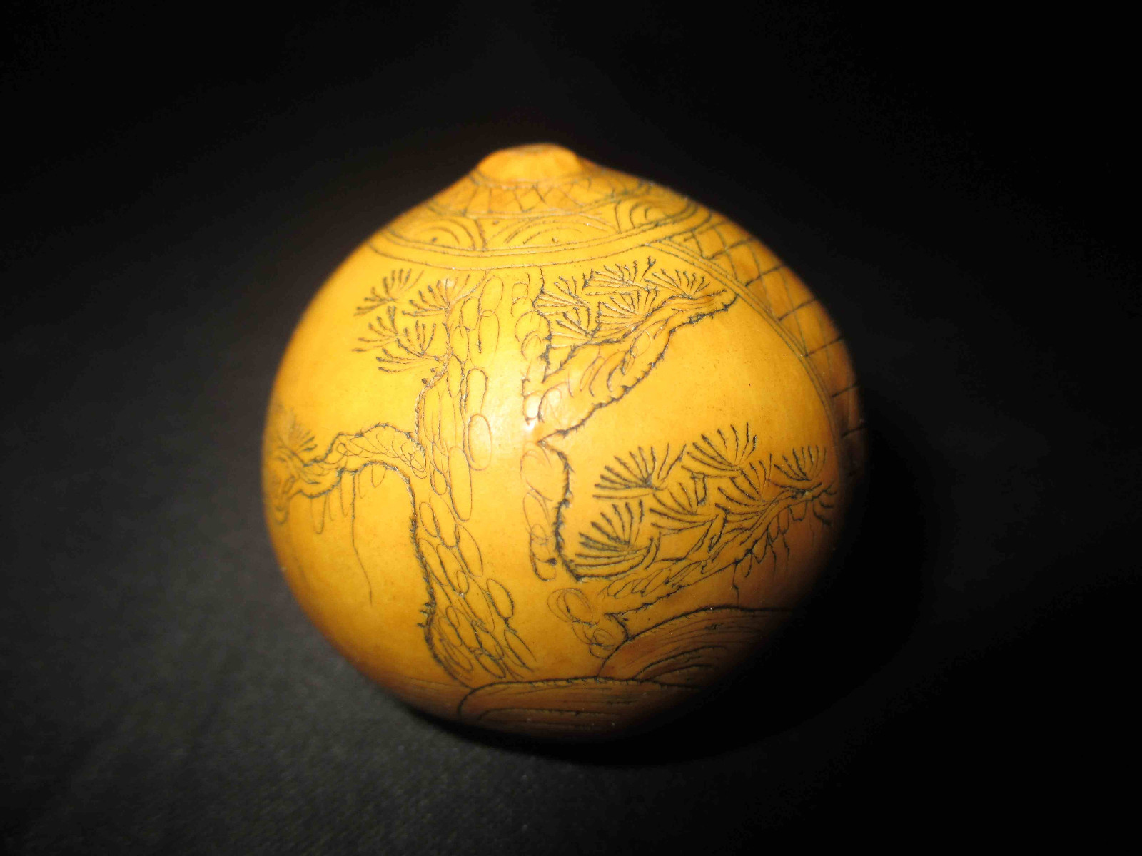 Picture 1 of 6