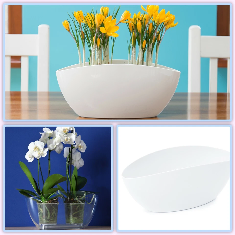  Orchideentopf Rund Übertopf Blumenkasten Pflanzkasten Blumentopf 4 Farben - Bild 2 von 2