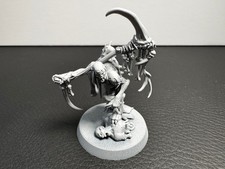 Warhammer Age of Sigmar: Marrowscroll Herald - Ready to Paint