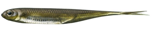 Fish Arrow Soft Esca Flash J Split 4 Inch 6 Pezzo per pacco #06 (3790) - Imagen 2 de 6