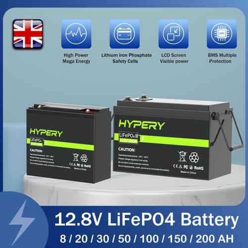 LiFePO4 Battery 30AH 50AH 100AH 150AH 200AH 12.8V Lithium Solarbattery/Charger