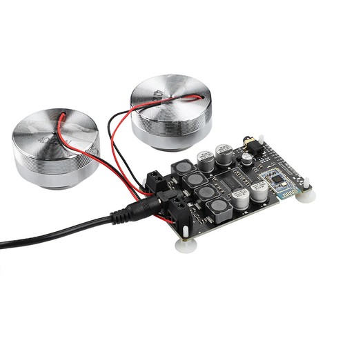 LOTTO Vibrazioni Full Range Altoparlante+Amplificatore+Pina 2In Audio Portatile 4/8Ohm 20/25W - Foto 21 di 33
