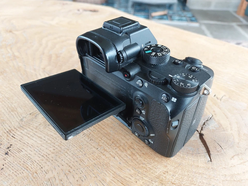 Sony Alpha 7R III, photo 4 of 5
