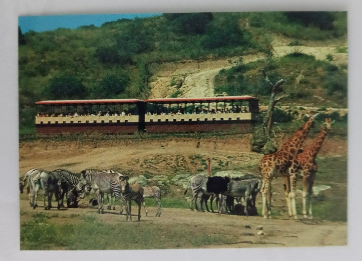 Picture 194 of 221