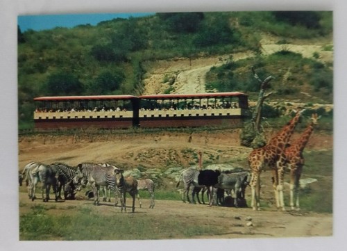 1993 CARDz San Diego Zoo Trading Cards (Pick Your Card) - Picture 194 of 221
