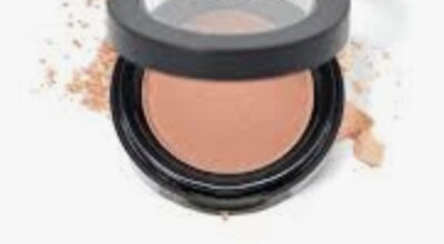 BLUSH - TIGER S EYE - MUA COUNTER EXCLUSIVE FAVORITE!!!!
