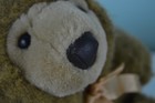 Bild 3 von 9