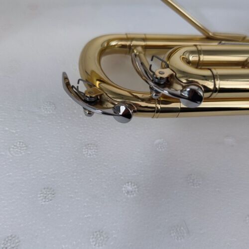 BrassTrumpet Instrument American Three-tone Beginner Performance with Case - Picture 6 of 9