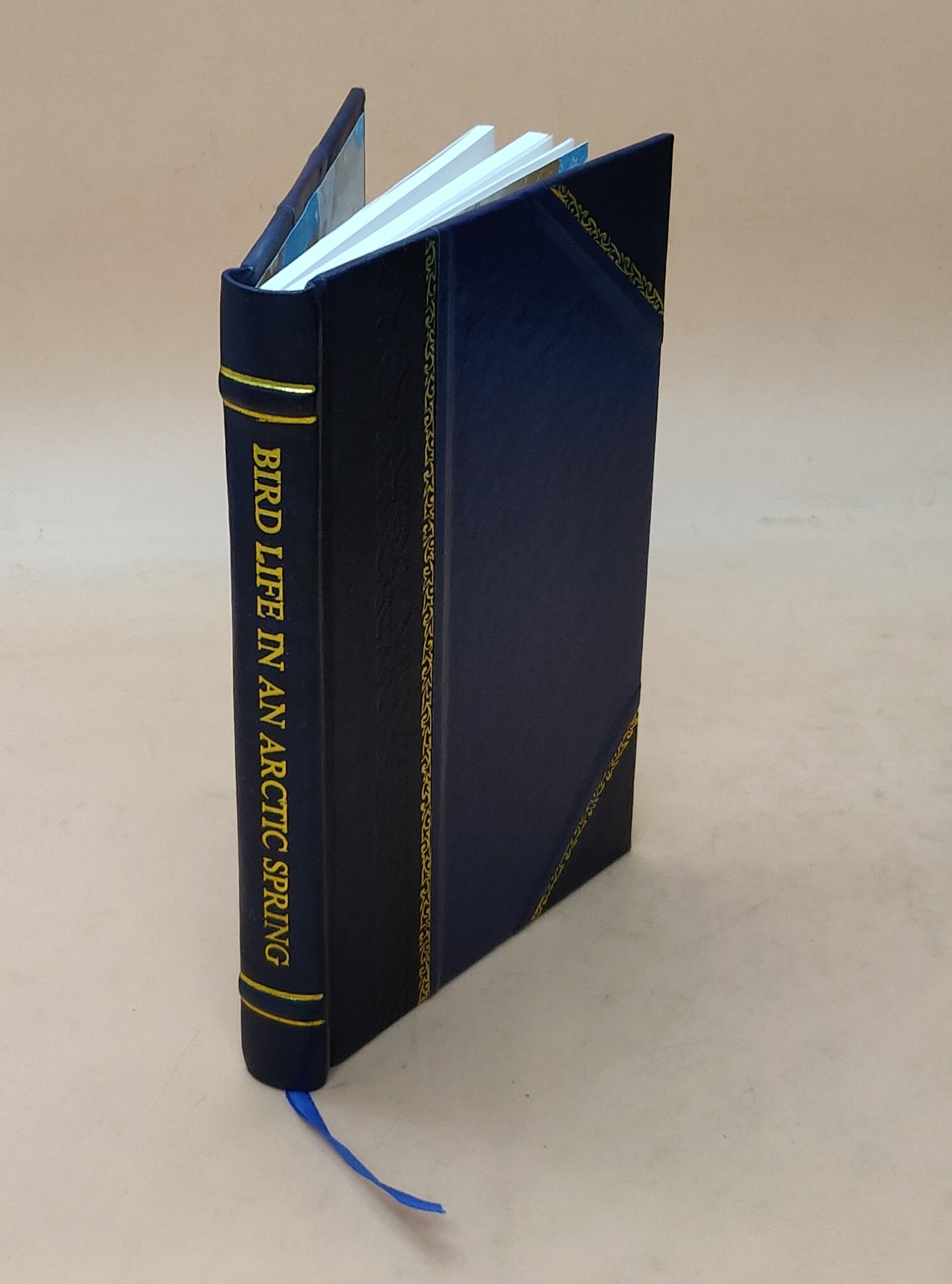 Arctic Spring Bird Life Diaries of Dan Meinertzhagen Leather Bound Edition