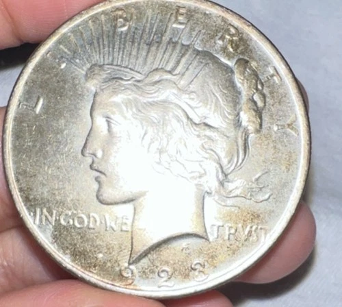 1923 Peace Dollar $1 Silver Coin Circulated Business Strike 0.9 Fineness