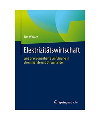 Elektrizitätswirtschaft: Eine praxisorientierte Einführung in Strommärkte und