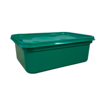 Rechteckige Eiscreme 2L Kunststoff Behälter & Deckel - Grün, Gelb, Rot & Blau