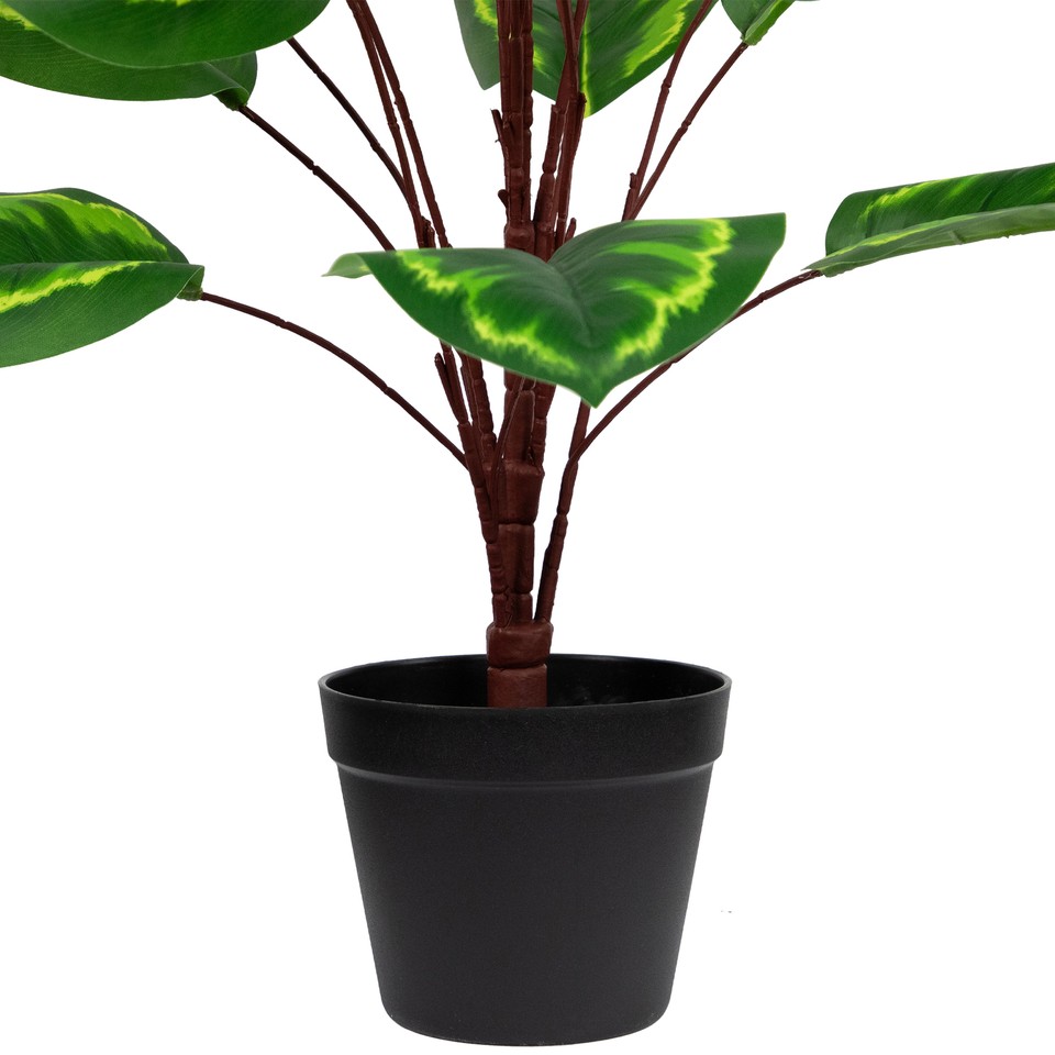 Northlight 30Inch Artificial Large Green Leaf Calathea Potted Plant eBay