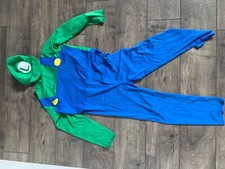 Mario Brothers Luigi Costume, size 12