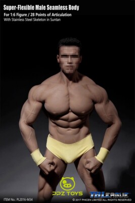 SUPER FLEXIBLE FIGURE 【PL2016-M34】 1/6 Phicen Super Flexible Male Seamless Body Steel Skeleton PL2016
