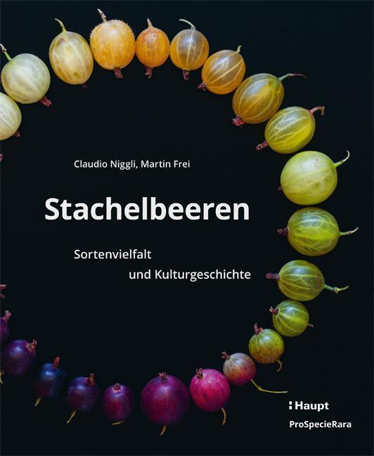 Thumbnail - Stachelbeeren Claudio Niggli
