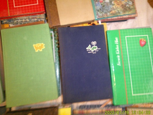 COLLEZIONE DI VECCHI STOCK RIVISTE INUTILIZZATE DIARIO QUADERNI LIBRI ALTRO - Foto 12 di 22