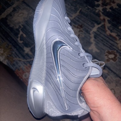 激シブカラー⭐︎Nike Lebron 21 シルバーアクセサリー&替えひも付 Nike LeBron 21 Resilience Cool Gray Metallic Silver HF5353-001