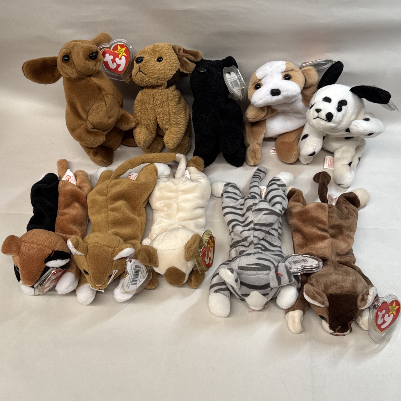 Lot of 10 Vintage Beanie Babies W/ Tags Excellent Condition Perfect For Gift #24