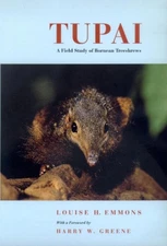 Tupai: A Field Study of Bornean Treeshrews by Louise H. Emmons (English) Paperba
