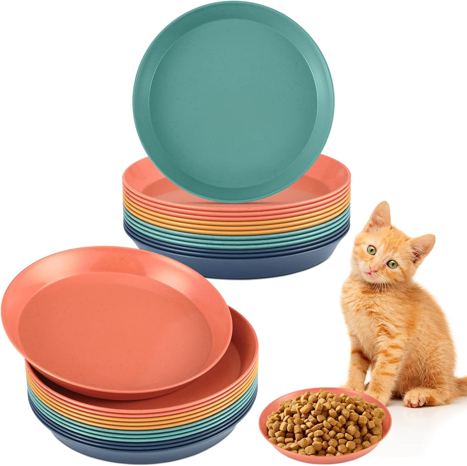 Dish Stray Dog